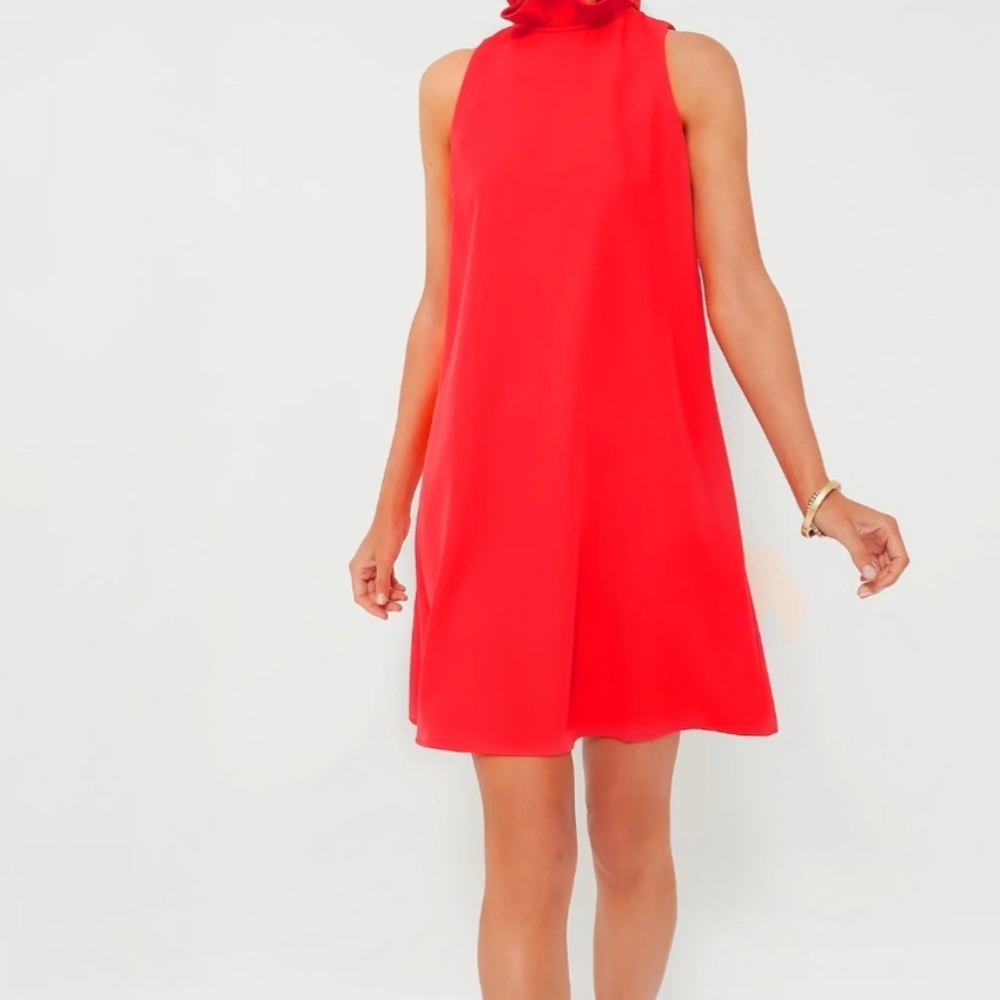 Tuckernuck xxxl mini party dress in red